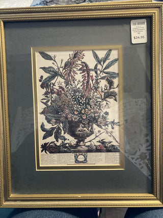 Elegant Floral Print Matted in Gold Frame - SNGL|74110
