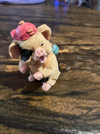 Hiking Piggy RSV