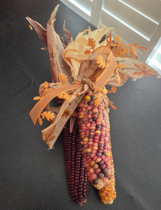 Died corn bundle