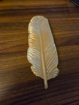 Unique Iridescent Resin Feather (B)