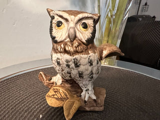 Owl China Wings Open MTS|89880
