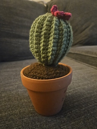 RM826-Crochet Cactus