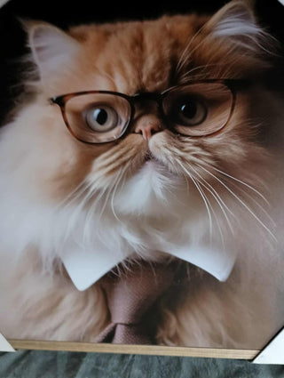 Cat w/ glasses rsv|102818