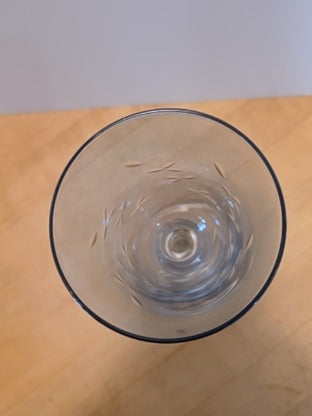 RF Gorgeous Light Blue Etched Wine Goblet