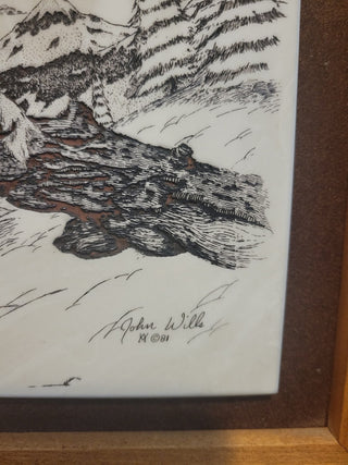 Vtg Framed Hand Etched Owl Picture by John Wills RCD