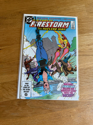 Comic Book Fury of Firestorm Issue 49|107534