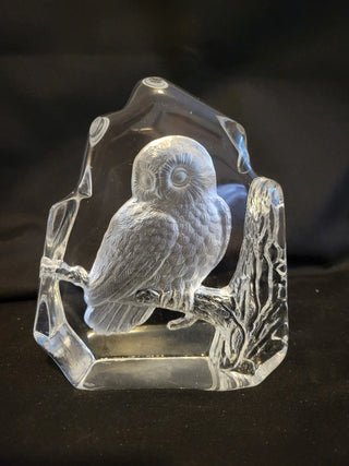 Heavy Clear Glass Owl Paperweight 6"x5" RCD