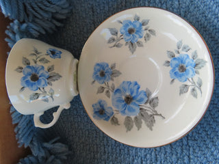 Porcelain tea cup & saucer w/blue flowers MTS|99794