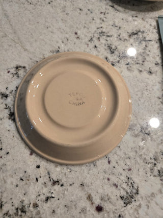 Vtg Tepco USA China (Cup/Saucer) RCD