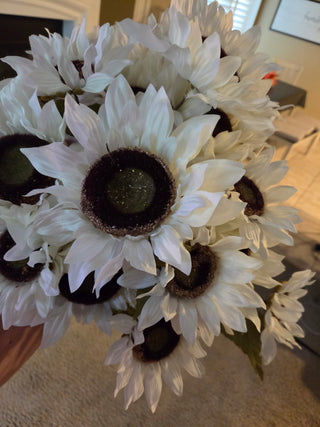 Cream sunflowers