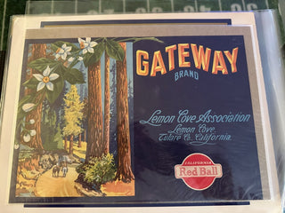 Gateway Authentic Citrus Farm Crate Label EC026 MTS|100266