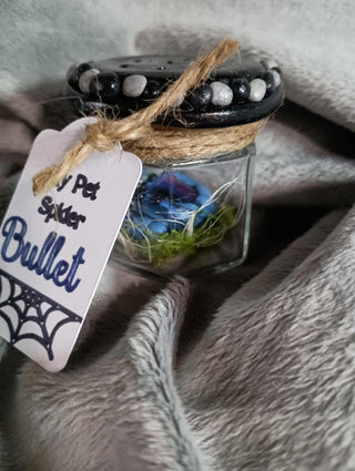 My pet spider rsv|100796