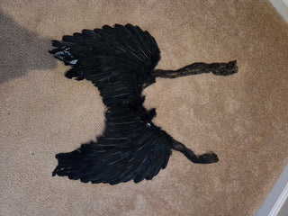 Black Feather Wings