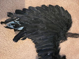 Black Feather Wings