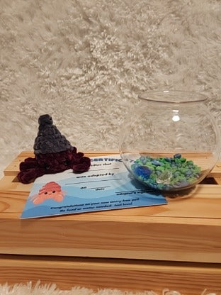 Aquatic Worry-free Pet: Hermit Crab- gray, dark red, round aquarium, gems, adoption certificate