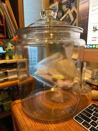 Large Apothecary Jar/Glass Dry Goods Jar 2 gal., 13" tall x 9.5"