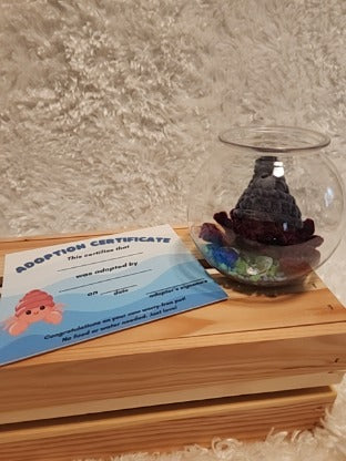 Aquatic Worry-free Pet: Hermit Crab- gray, dark red, round aquarium, gems, adoption certificate