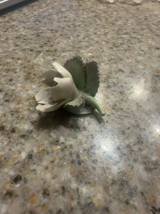 V Balmore Fine Bone China Flower