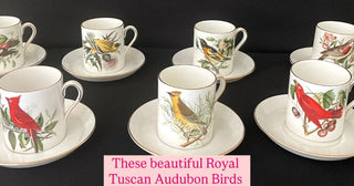Royal Tuscan Audubon Birds Demitasse 8 cup and Saucers Fine Bone China England #63 VV MTS