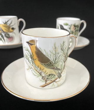 Royal Tuscan Audubon Birds Demitasse 8 cup and Saucers Fine Bone China England #63 VV MTS