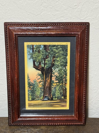 Framed Vintage Chandelier Tree Postcard MTS|81209