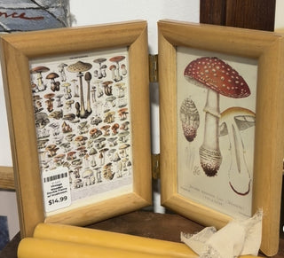Vintage Wooden Double Frame w/ mushroom prints|106809