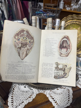 1942 Atlas of Human Anatomy Paperback Book RSV|97254