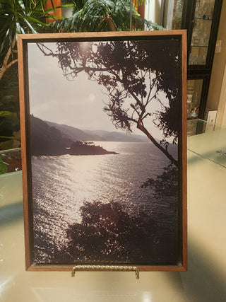 1970s Coast Photo Woodbox Frame RSV