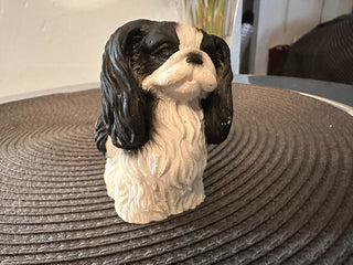Dog Shitz Shu MTS|89854