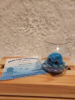 Aquatic Worry-free Pet: Octopus- turquoise, round aquarium, gems, adoption certificate