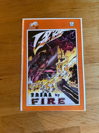 Comic Book: Trial by Fire Issue 4|58410