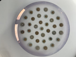 Platter - Atomic Starburst RSV