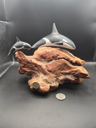 VNT John Perry Studio Mother & Calf Orca on Burlwood