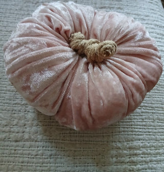 Pink Velvet Pumpkin 3