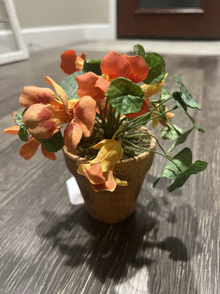Orange potted flowers RCD|119323