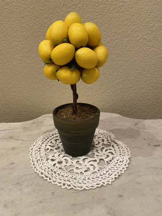 Lemon ball topiary|50555