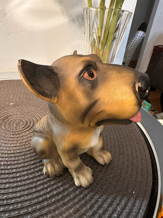 Dog Bank Brown Dog MTS|89865