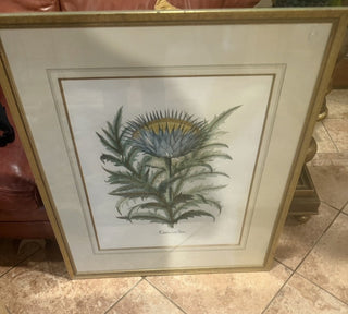 Cinera Cum Flore PV21 Botanical Print  33.5 X 29.5 VV MTS