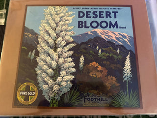 Desert Bloom Authentic Citrus Farm Crate Label EC017 MTS|100248