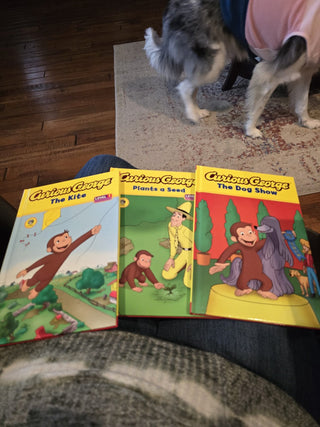 Curious George Book - LL - RCD