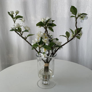 decorative flowering branches in clear vase RSV