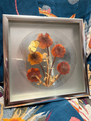 Framed Dried Flower and Butterfly Silver MTS|113439