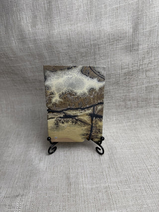 Polished Picture Jasper Slab w/ black stand|52541