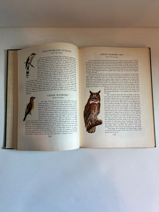 An introduction to nature vintage book RSV