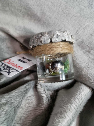 My pet spider rsv|100797