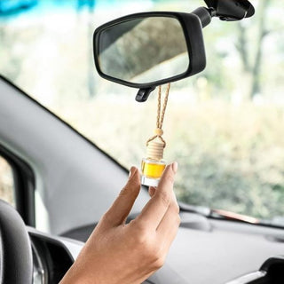 Car Diffuser Winter Forest MTS|132380