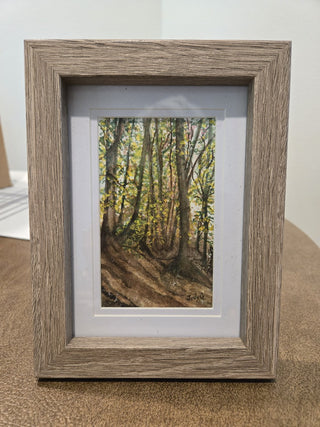 5x7 "walk in the woods" watercolor RCD