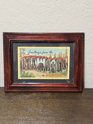 Framed Vintage Redwoods Postcard MTS|81206