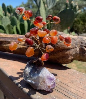 Carnelian Crystal Bonsai Tree of Life RCD|77375