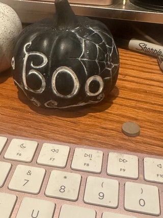 Halloween Pumpkin, small, black, "Boo", spiderweb